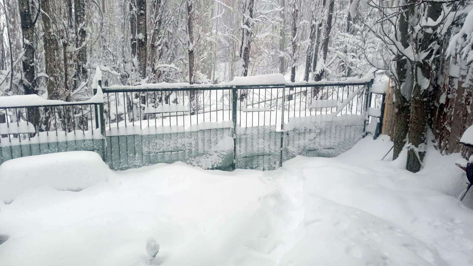 Nieve en baños morales